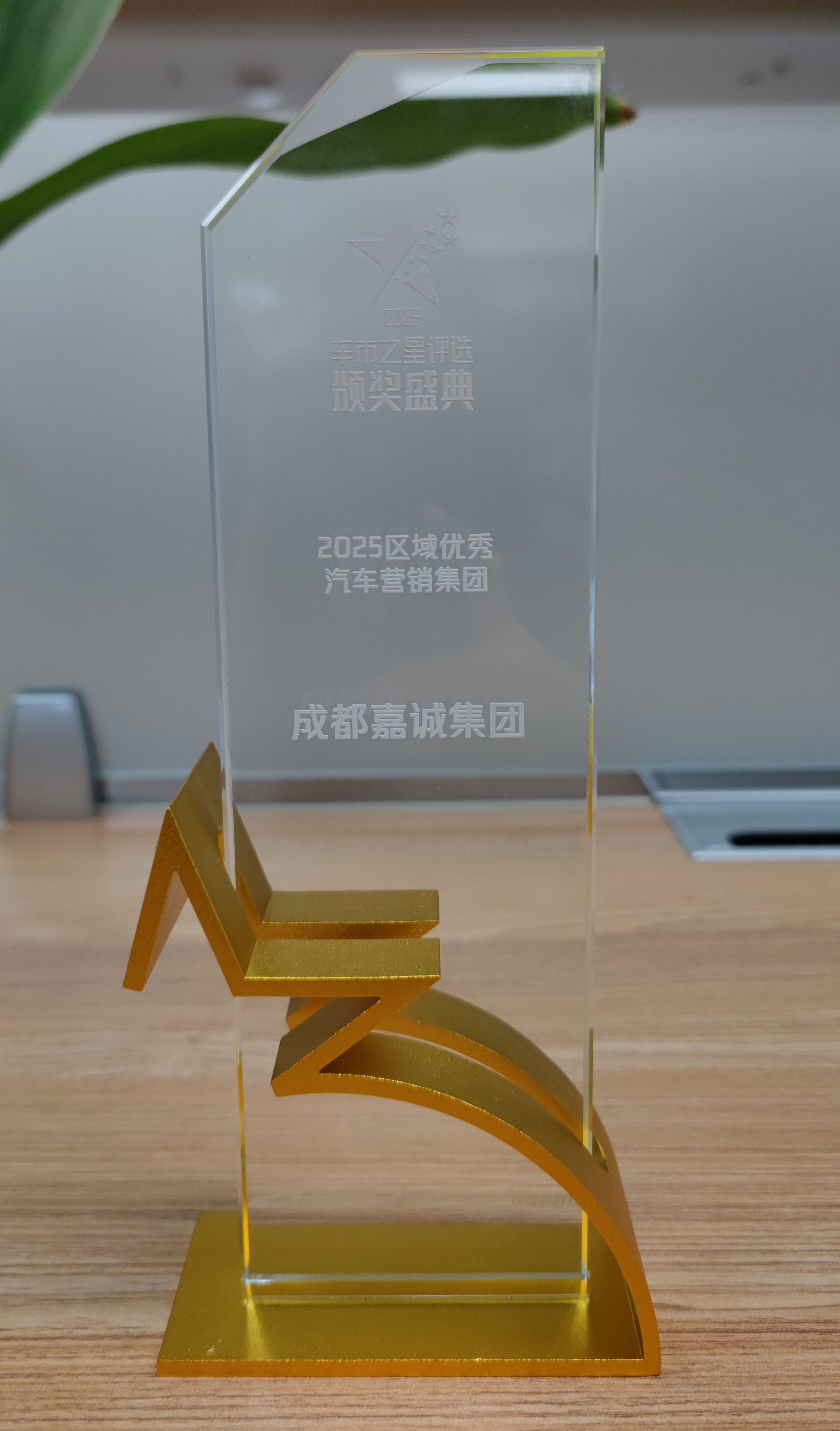 车市之星 2025区域优秀汽车营销集团