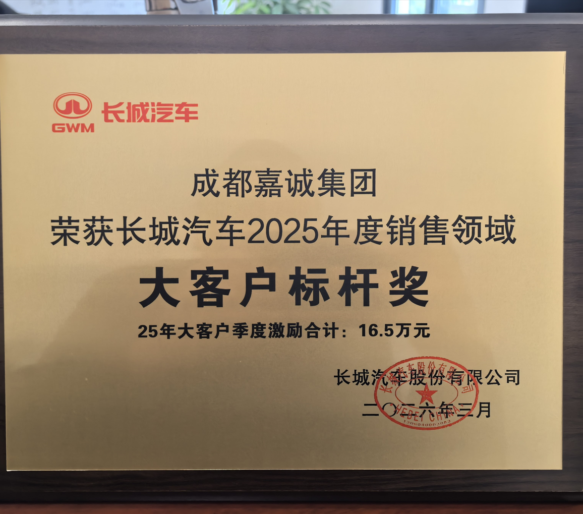 长城2025年度销售领域 大客户标杆奖